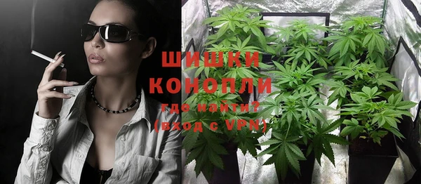 ГАЛЛЮЦИНОГЕННЫЕ ГРИБЫ Аркадак